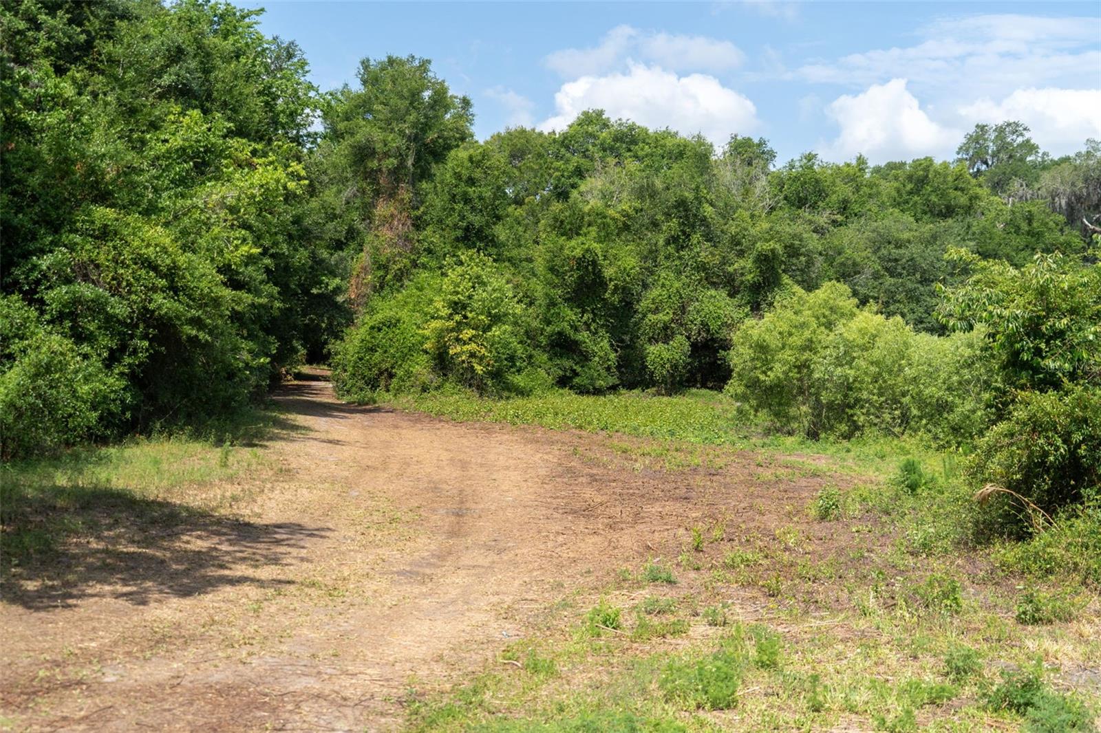 3482 COUNTY ROAD 507, WILDWOOD, FL, 34785