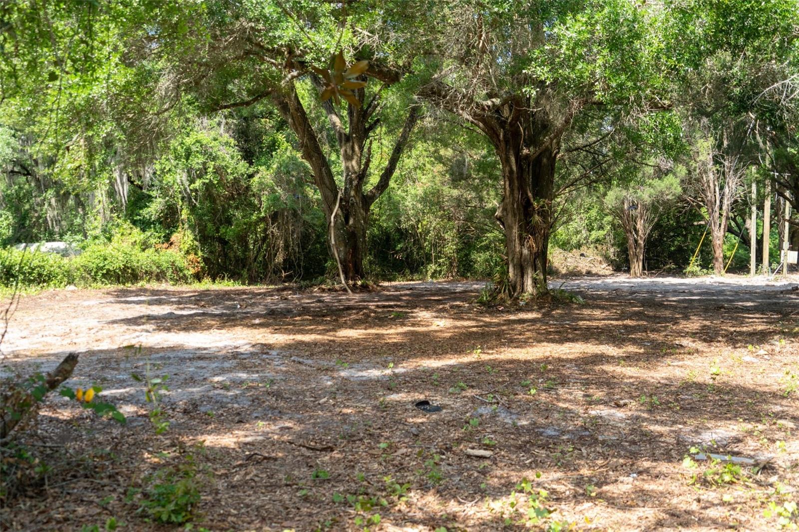 3482 COUNTY ROAD 507, WILDWOOD, FL, 34785