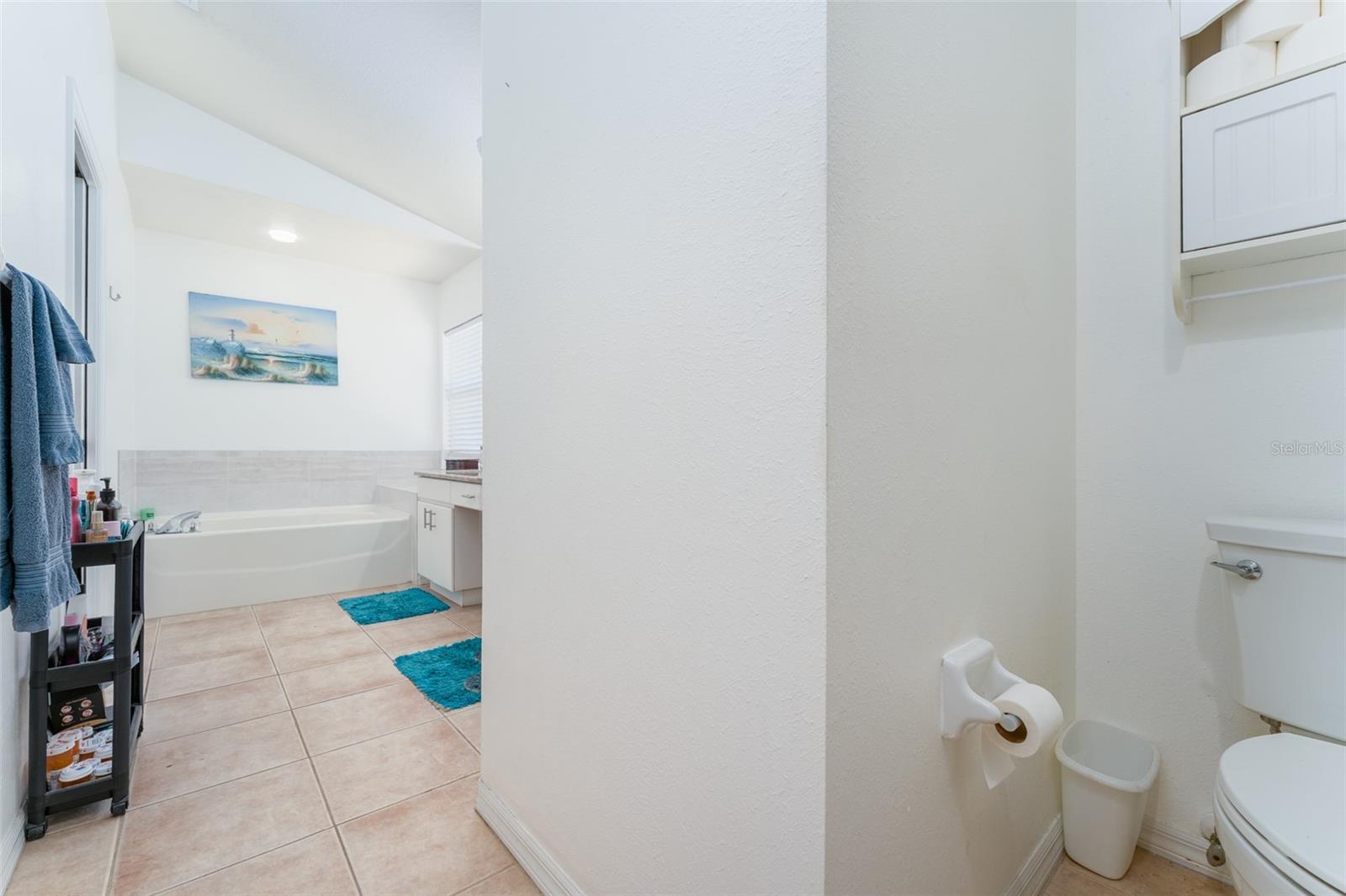 10727 DEEPBROOK DR, RIVERVIEW, FL, 33569