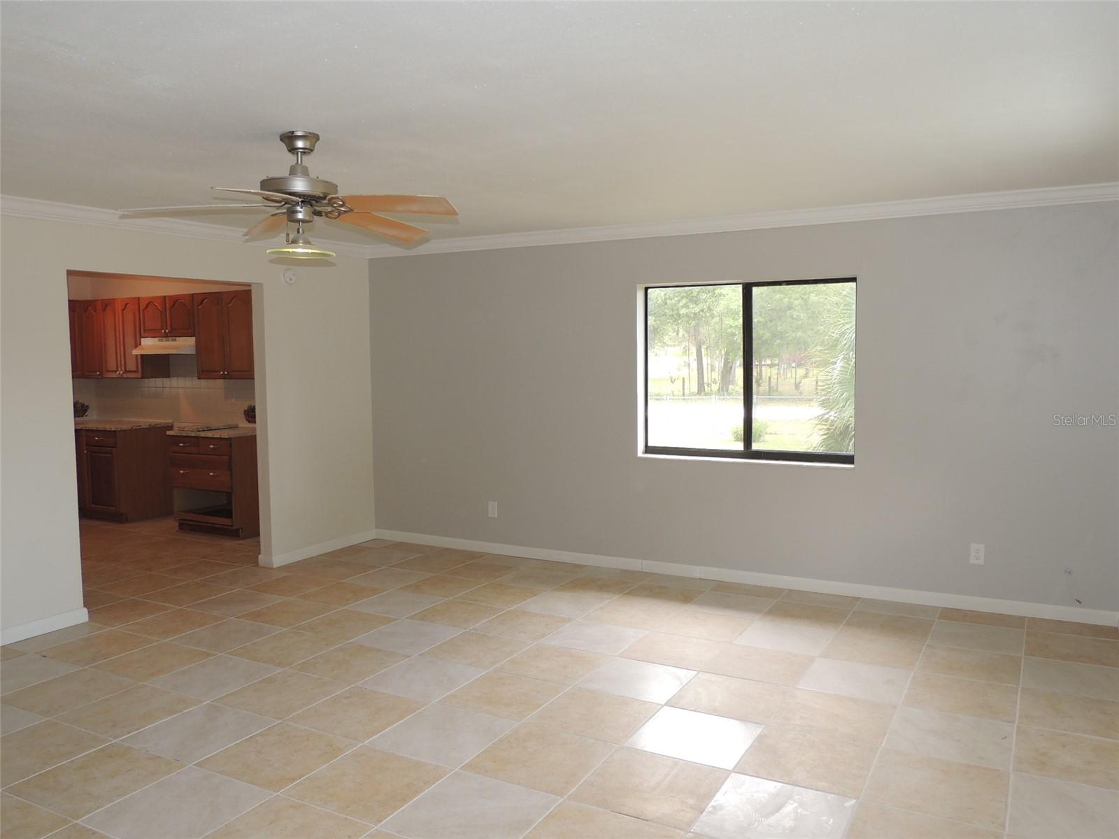 13250 NE 52ND PL, WILLISTON, FL, 32696