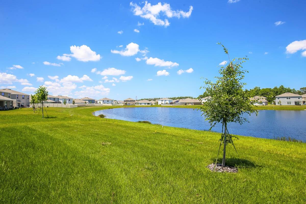 16530 WINDMILL FORGE PASS, WIMAUMA, FL, 33598