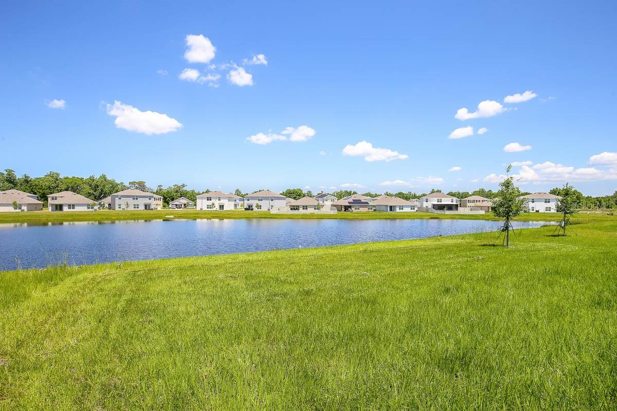 16530 WINDMILL FORGE PASS, WIMAUMA, FL, 33598