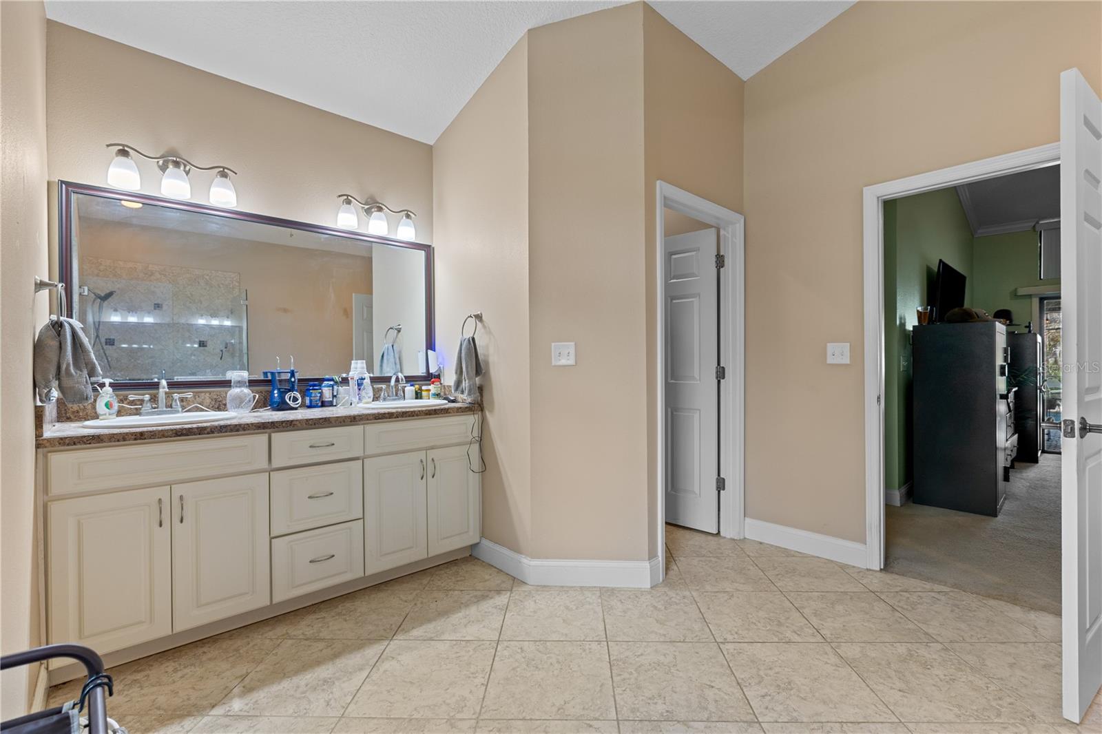 2315 EAGLE BLUFF DR, VALRICO, FL, 33596