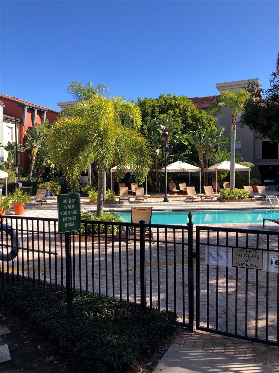 402 S ARMENIA AVE #114, TAMPA, FL, 33609