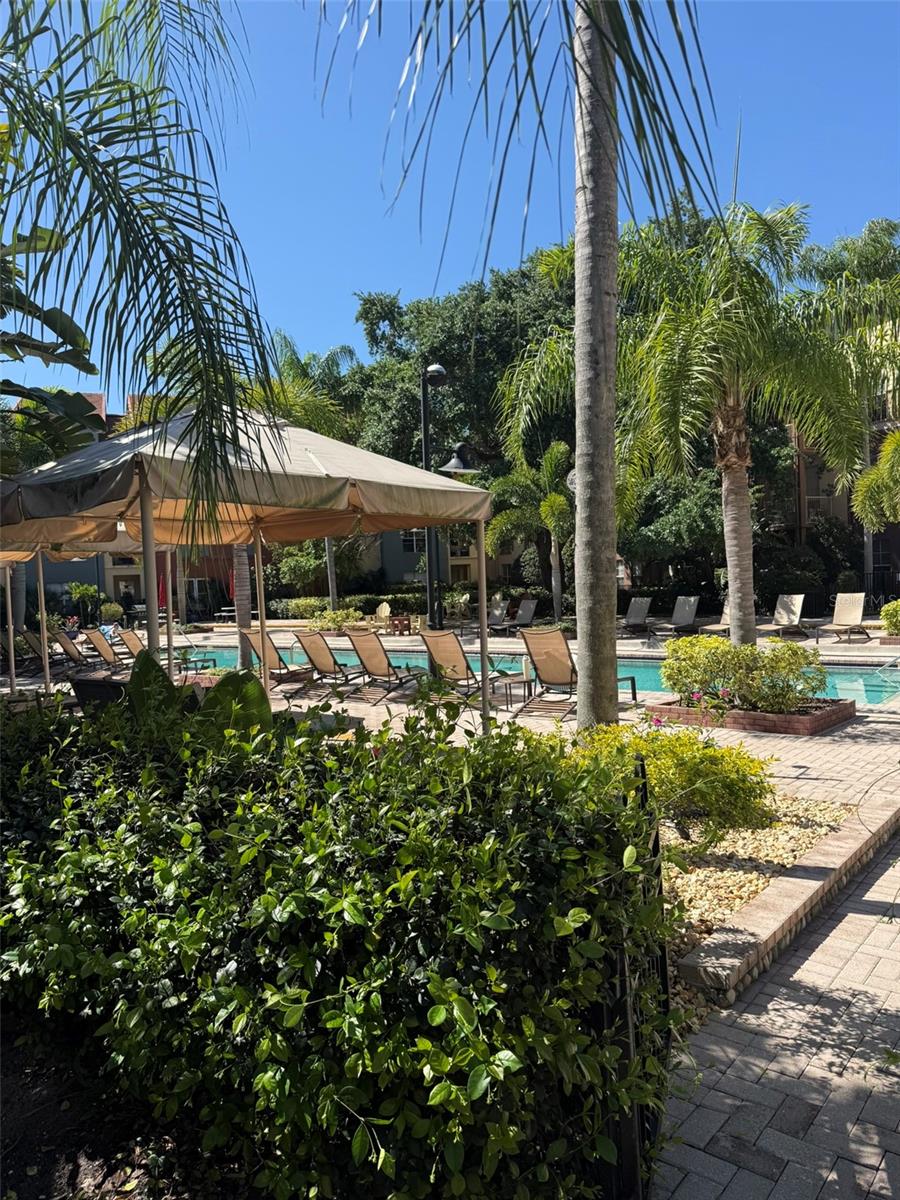 402 S ARMENIA AVE #114, TAMPA, FL, 33609