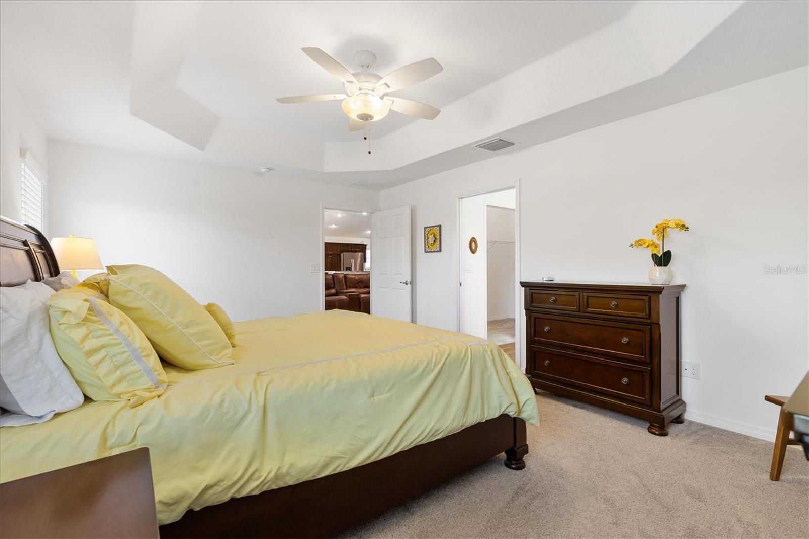 4348 TUSCALOOSA PATH, THE VILLAGES, FL, 32163