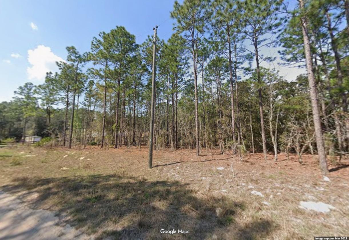 SW 128TH TERRACE RD, OCALA, FL, 34481