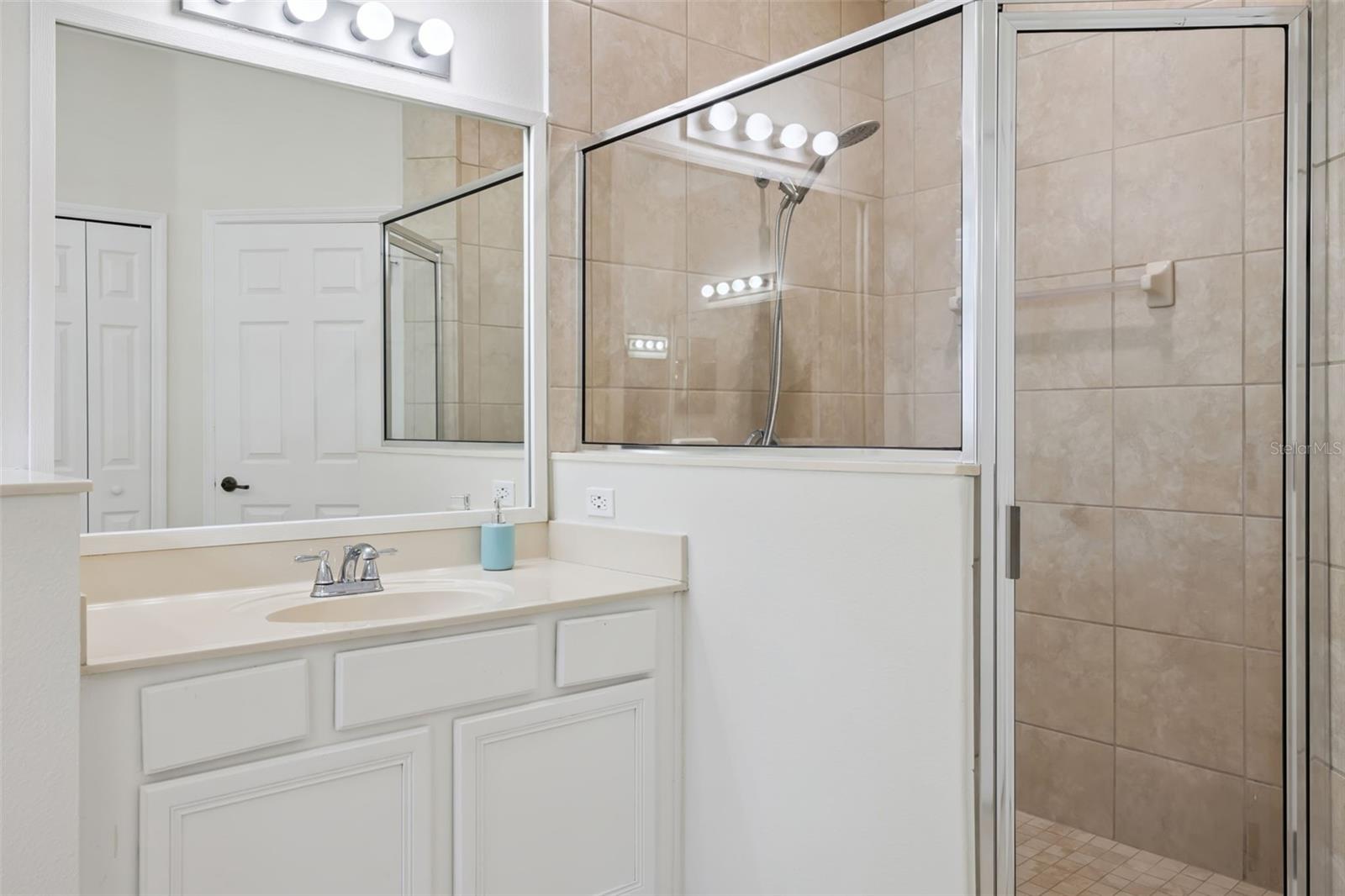 7187 WILD STRAWBERRY RUN, WINTER GARDEN, FL, 34787