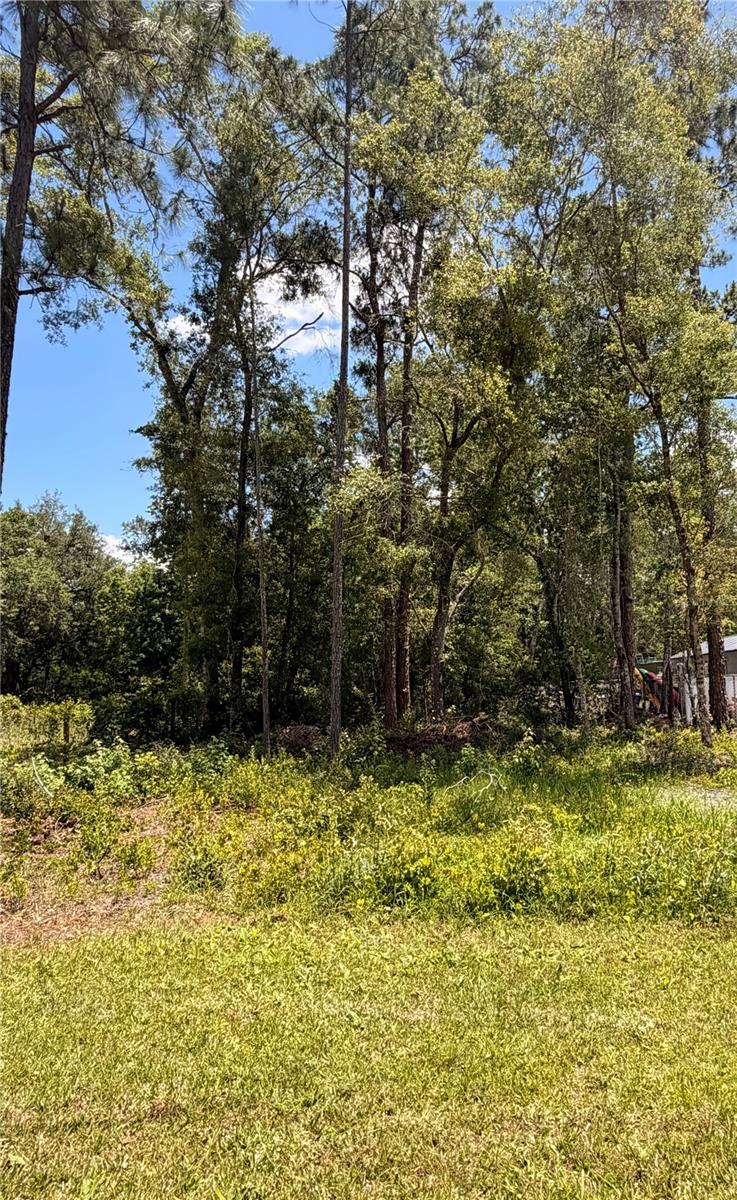 6327 FIG AVE, WEBSTER, FL, 33597