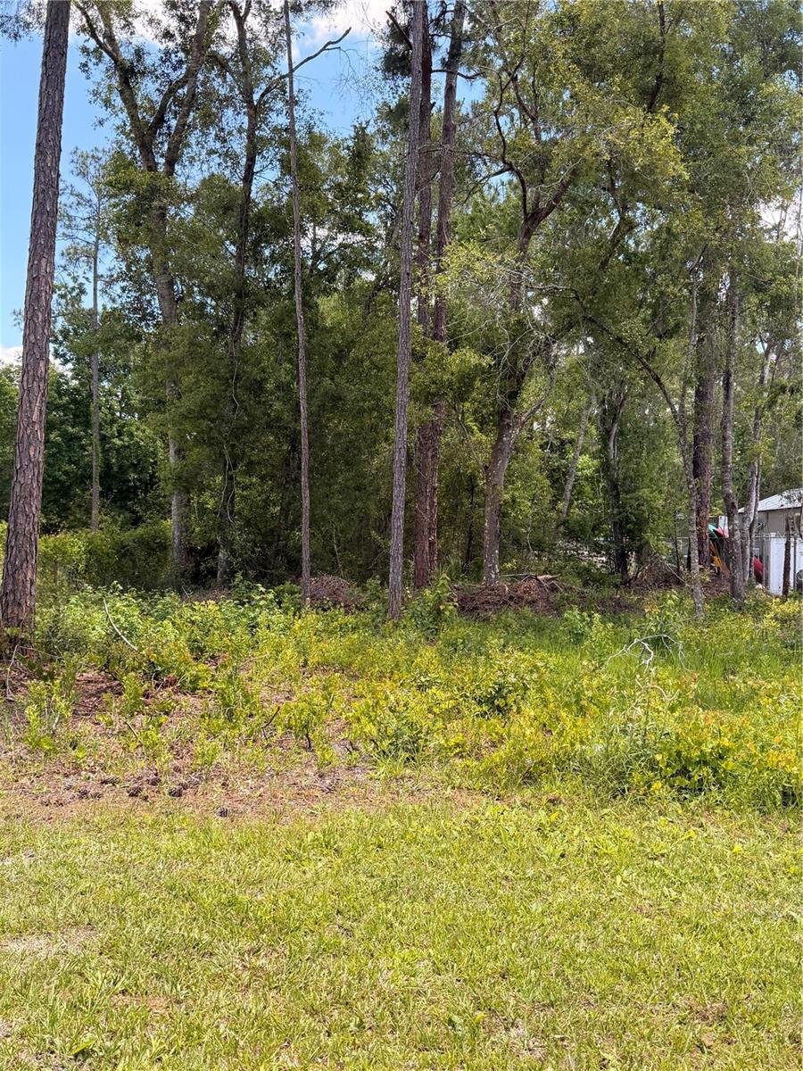 6327 FIG AVE, WEBSTER, FL, 33597