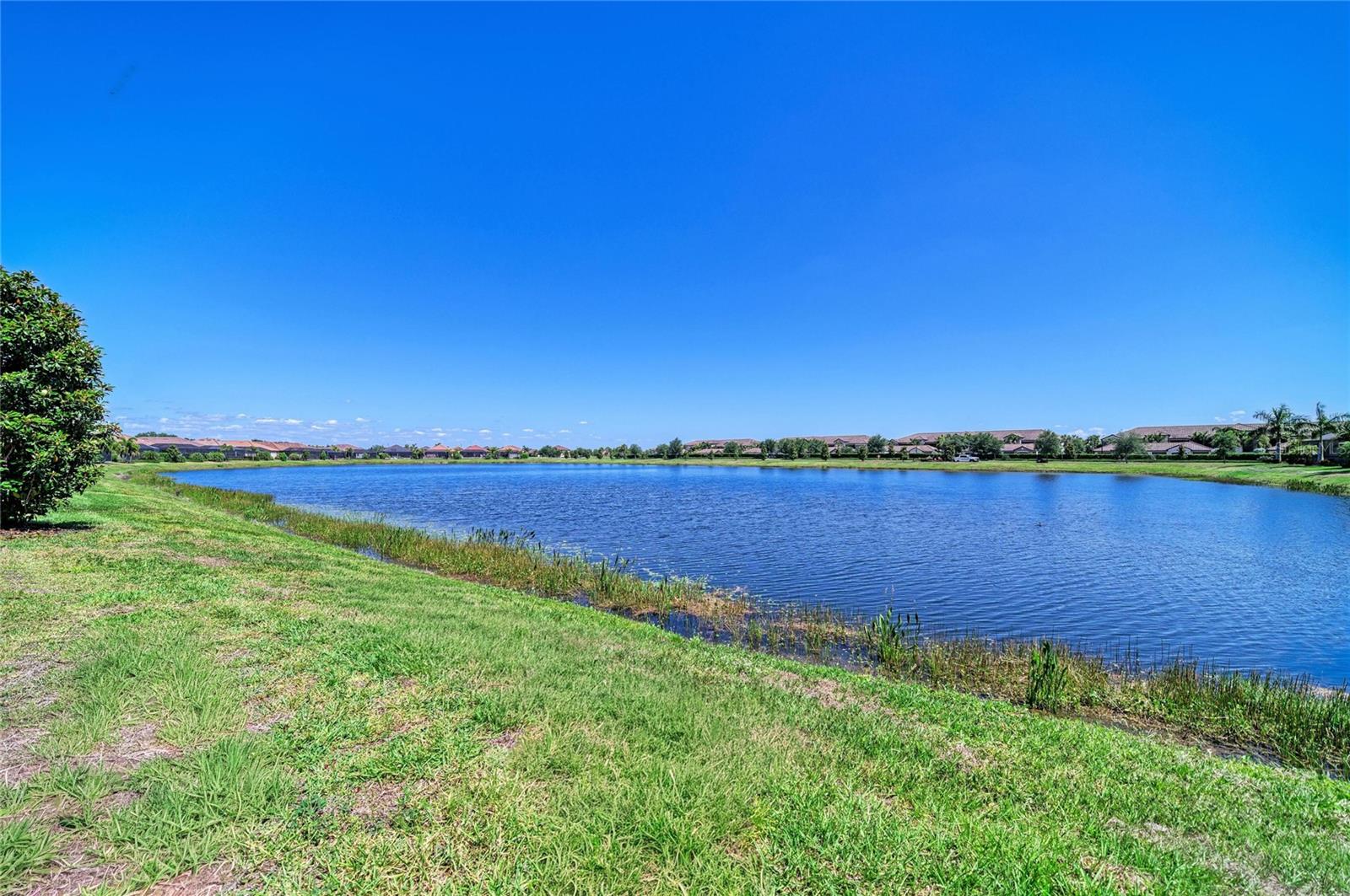 17456 HICKOK BELT LOOP, LAKEWOOD RANCH, FL, 34211