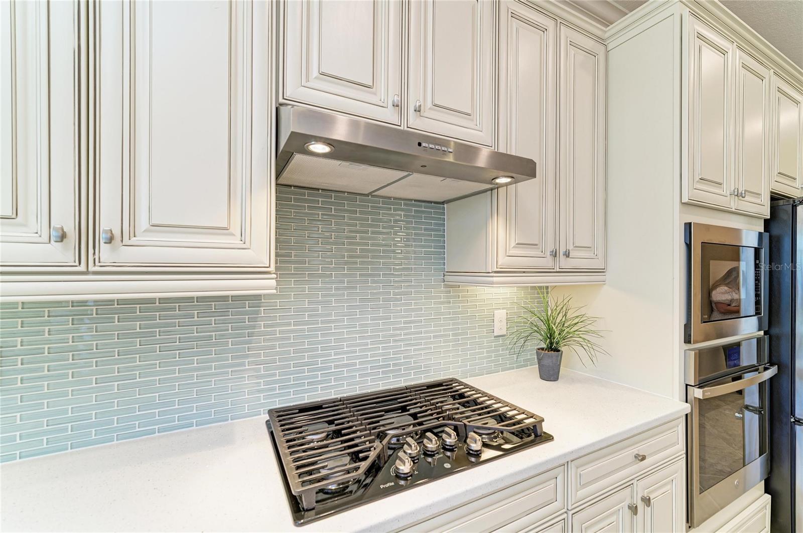 17456 HICKOK BELT LOOP, LAKEWOOD RANCH, FL, 34211