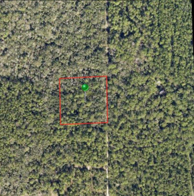 LAKE HARNEY RD, OSTEEN, FL, 32764
