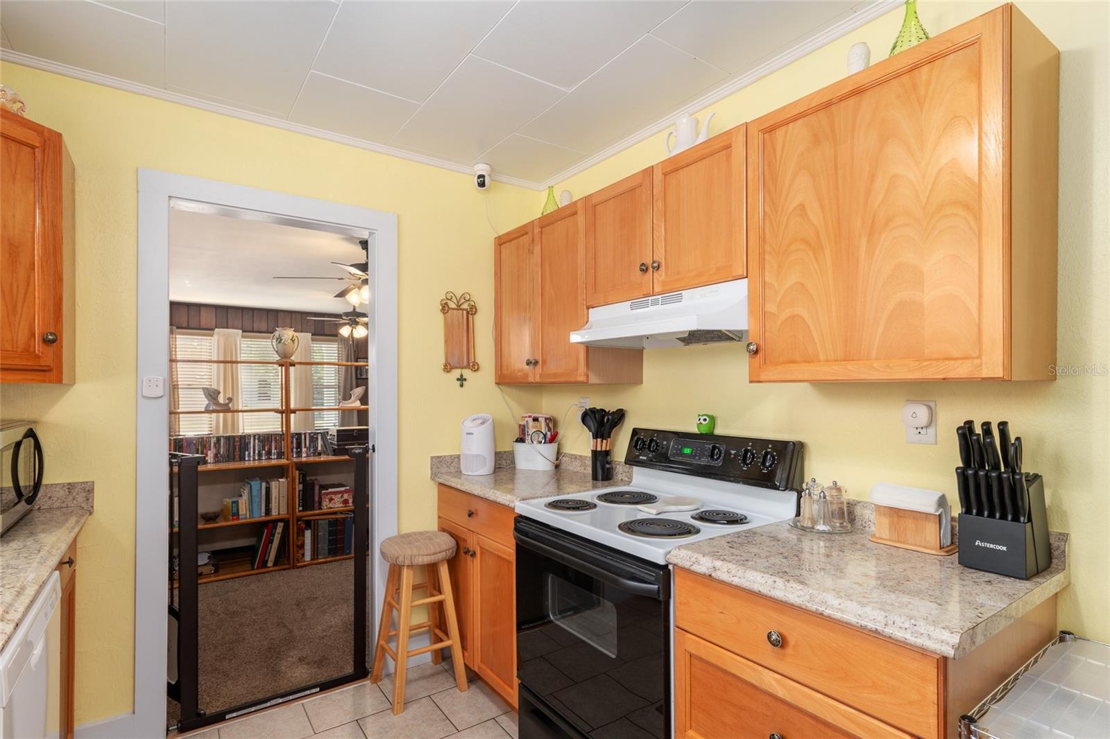 503 NE 1ST ST, CHIEFLAND, FL, 32626