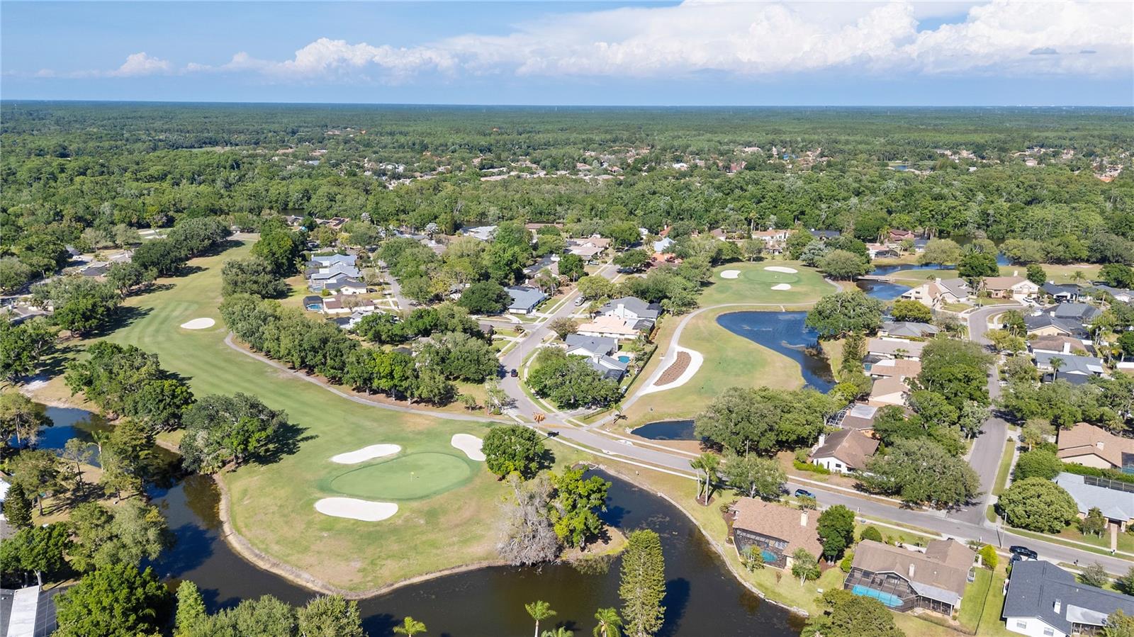 405 HOLLY HILL RD, OLDSMAR, FL, 34677