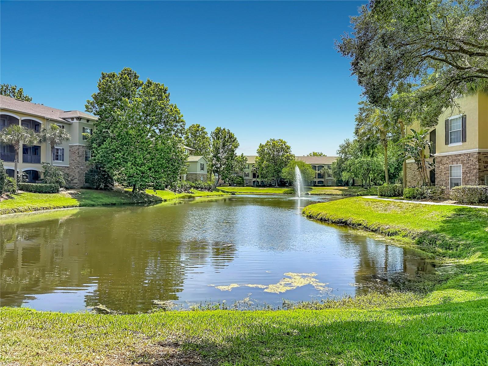10201 COURTNEY PALMS BLVD #203, TAMPA, FL, 33619
