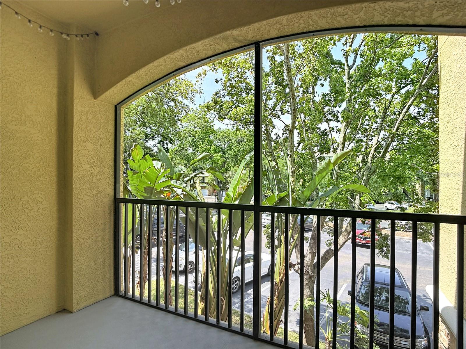 10201 COURTNEY PALMS BLVD #203, TAMPA, FL, 33619