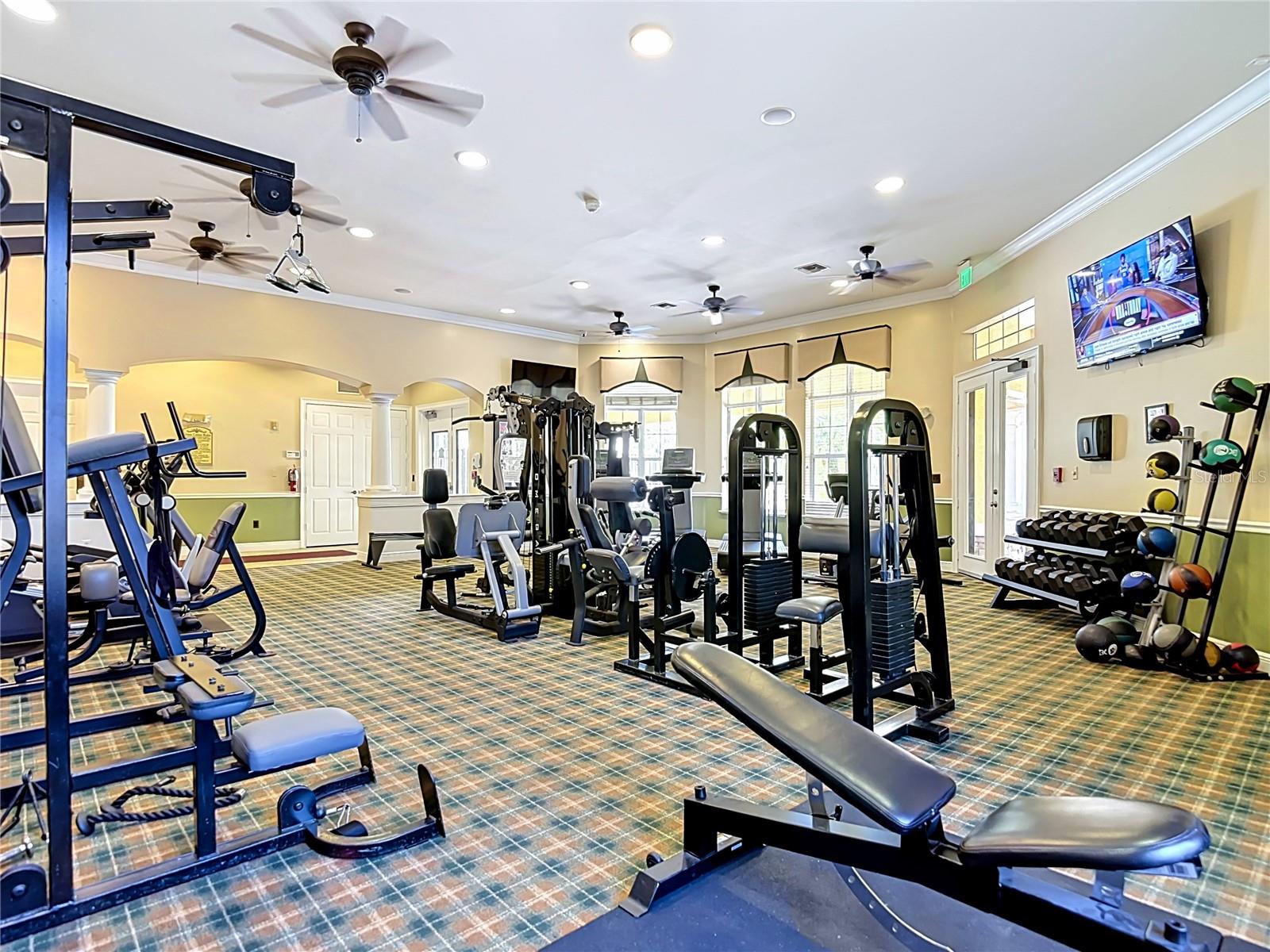 10201 COURTNEY PALMS BLVD #203, TAMPA, FL, 33619