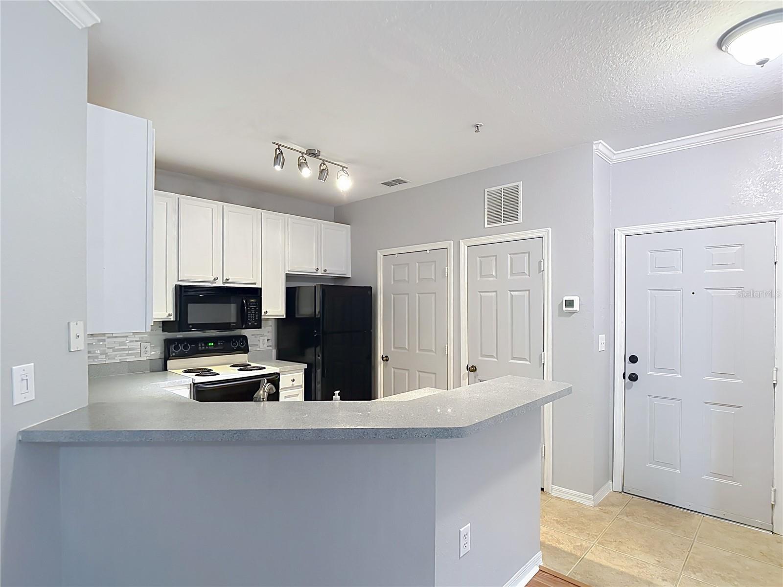 10201 COURTNEY PALMS BLVD #203, TAMPA, FL, 33619