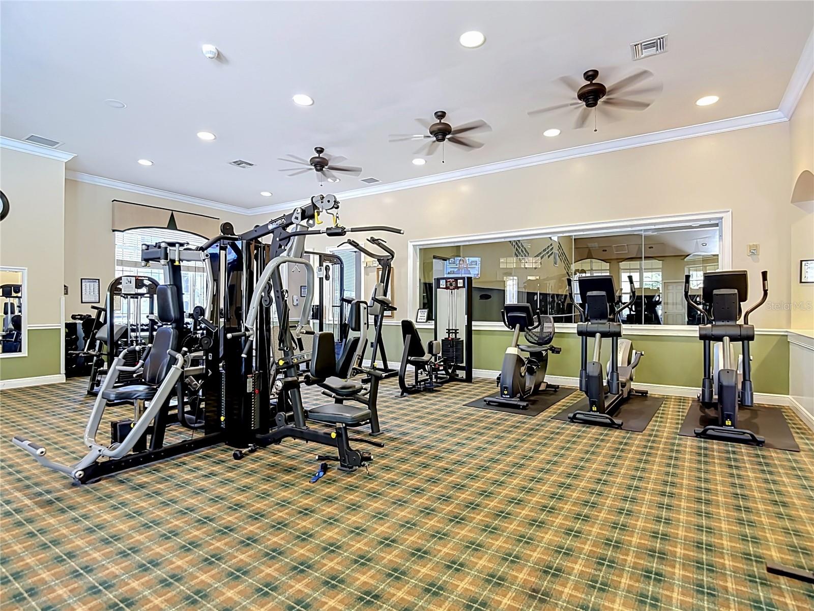 10201 COURTNEY PALMS BLVD #203, TAMPA, FL, 33619