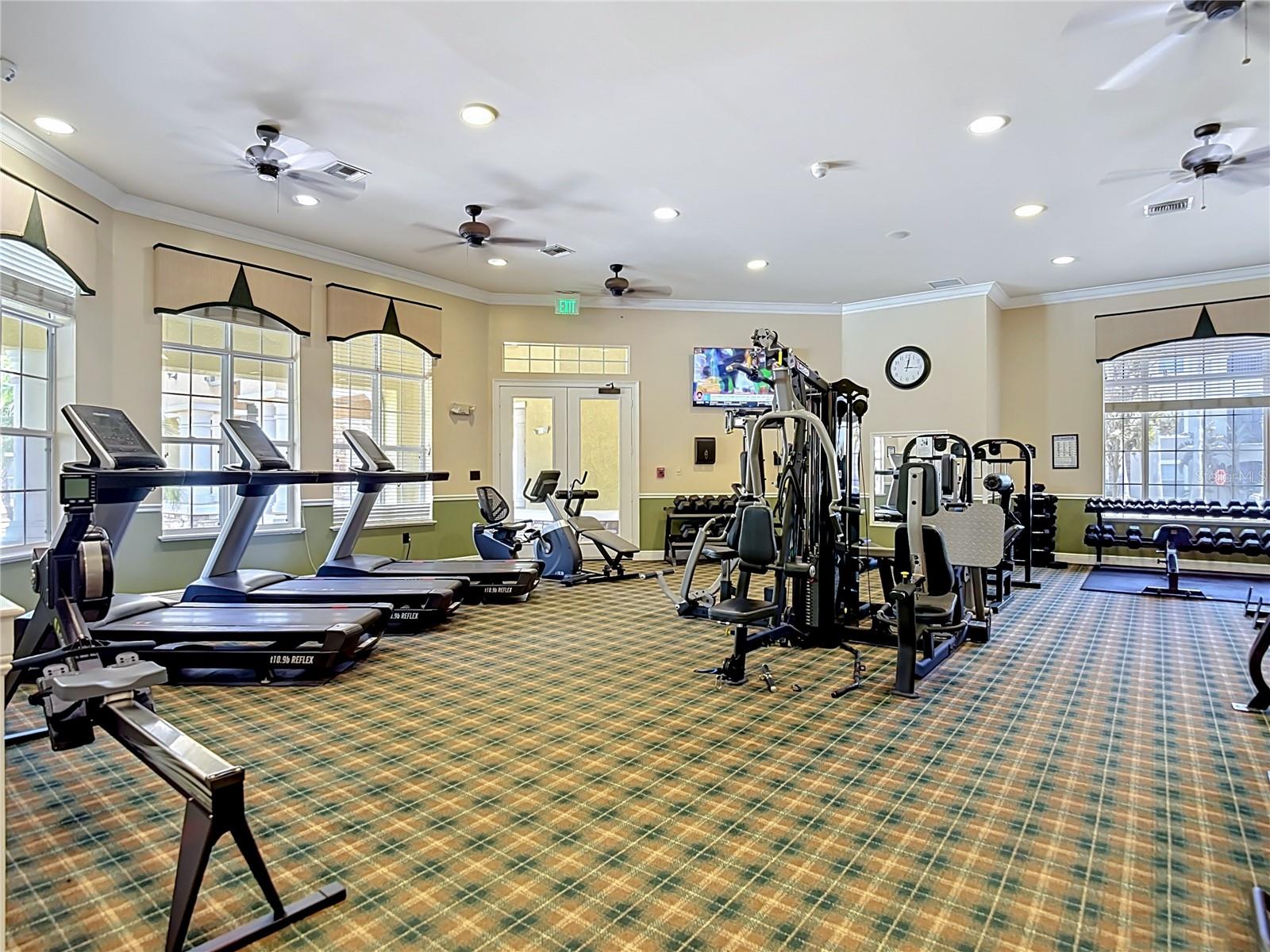 10201 COURTNEY PALMS BLVD #203, TAMPA, FL, 33619