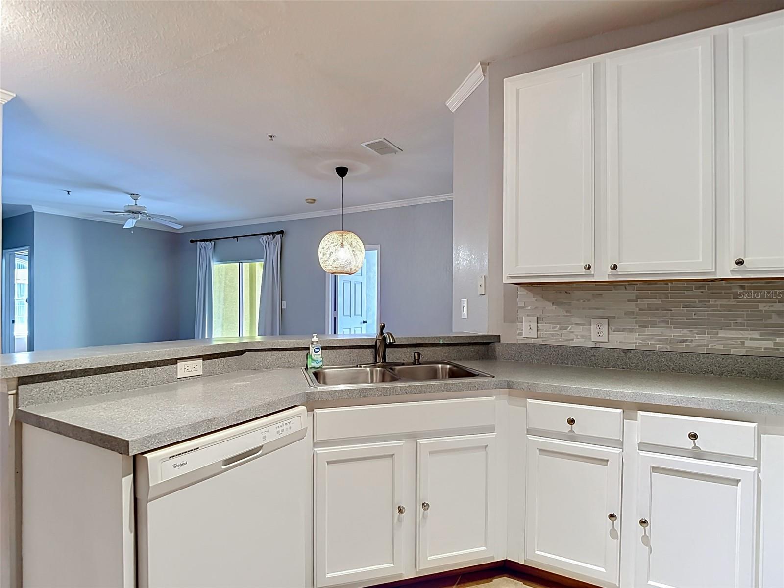 10201 COURTNEY PALMS BLVD #203, TAMPA, FL, 33619