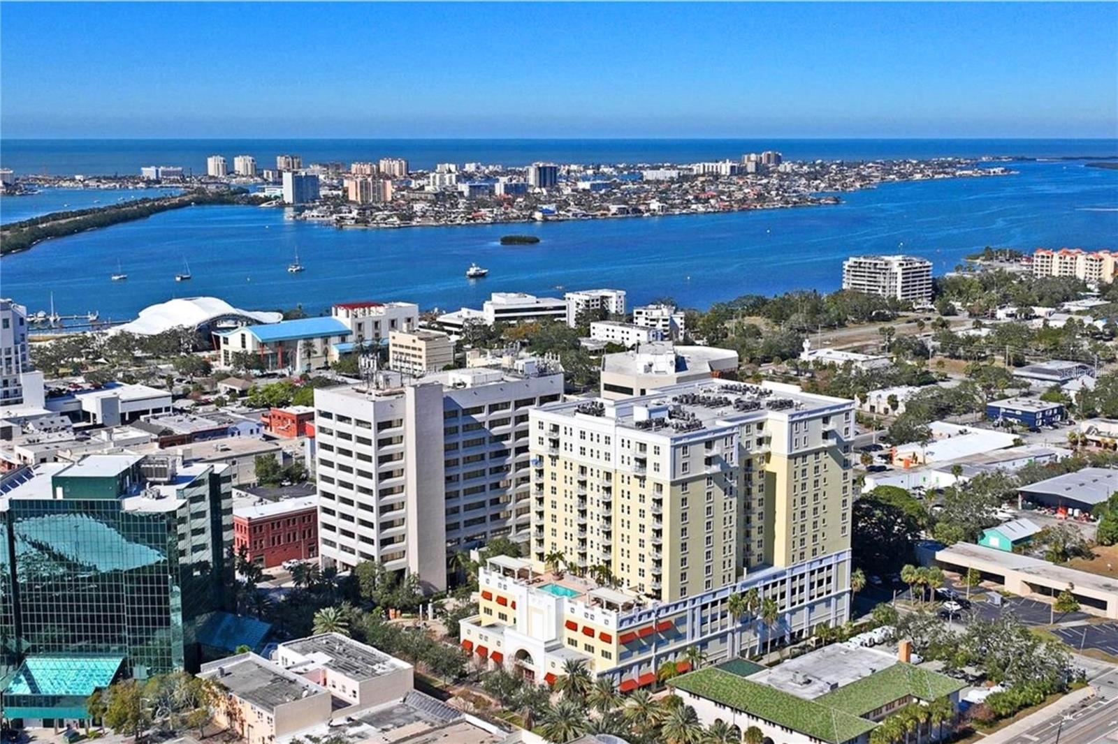 628 CLEVELAND ST #1310, CLEARWATER, FL, 33755