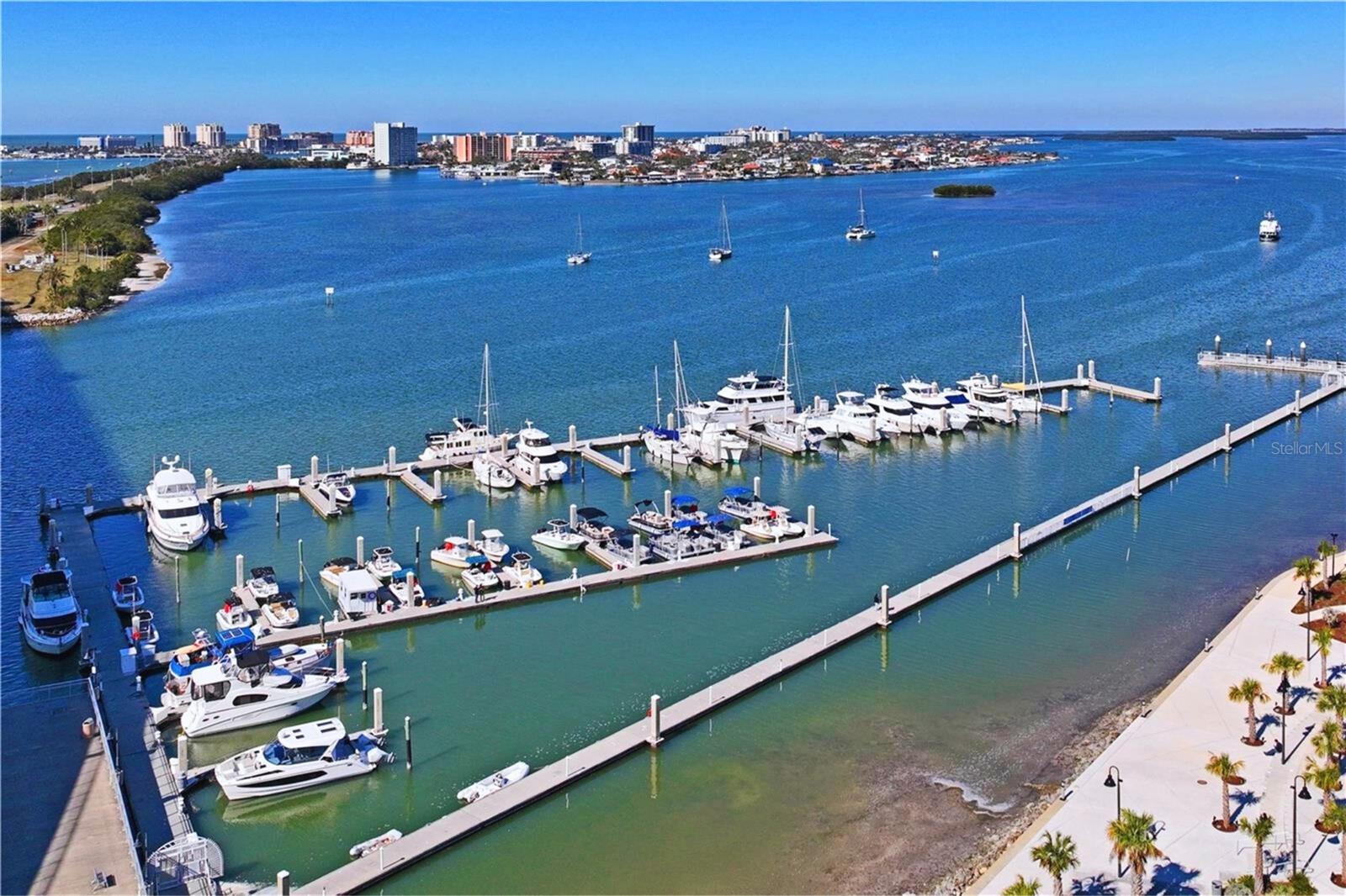 628 CLEVELAND ST #1310, CLEARWATER, FL, 33755