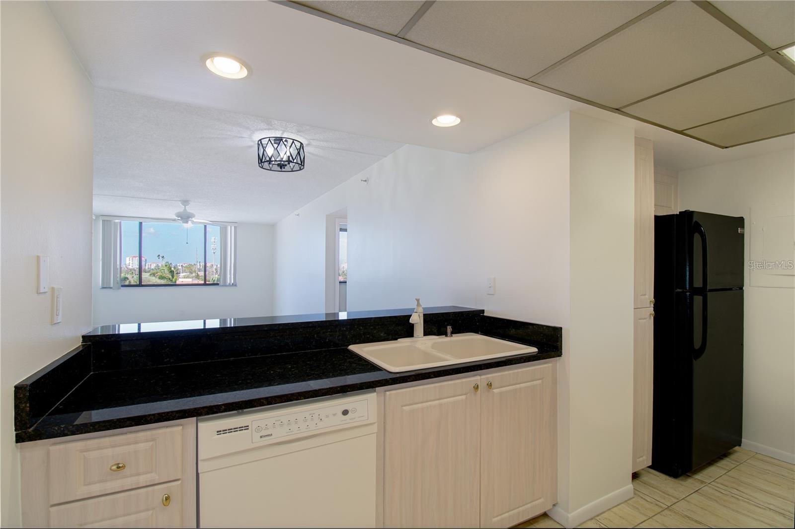 6372 PALMA DEL MAR BLVD S #405, ST PETERSBURG, FL, 33715