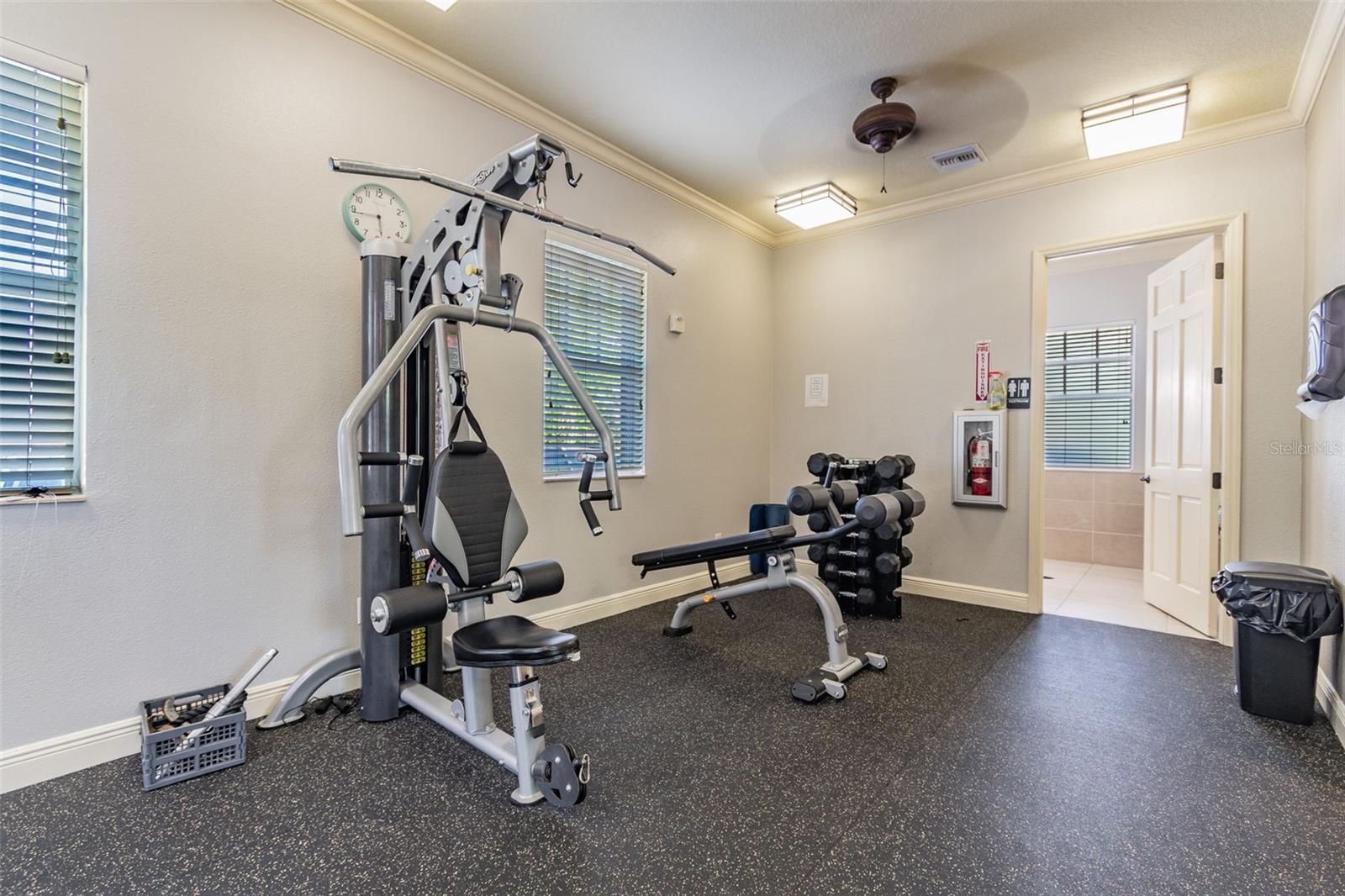 4022 WATERVILLE AVE, WESLEY CHAPEL, FL, 33543