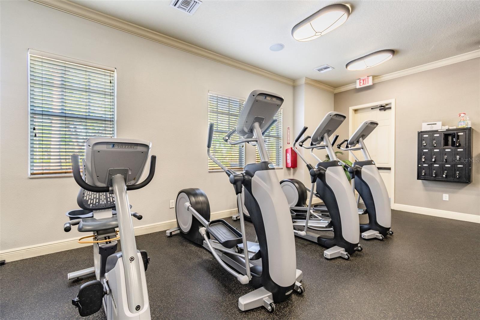 4022 WATERVILLE AVE, WESLEY CHAPEL, FL, 33543