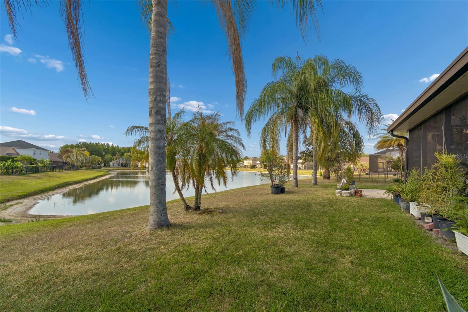 4022 WATERVILLE AVE, WESLEY CHAPEL, FL, 33543