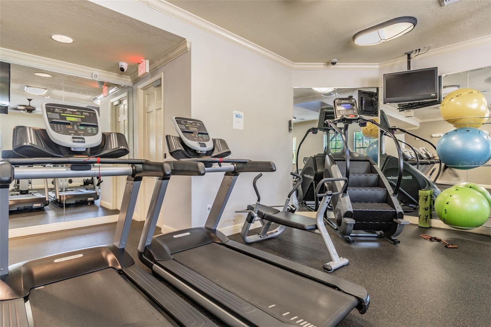 4022 WATERVILLE AVE, WESLEY CHAPEL, FL, 33543