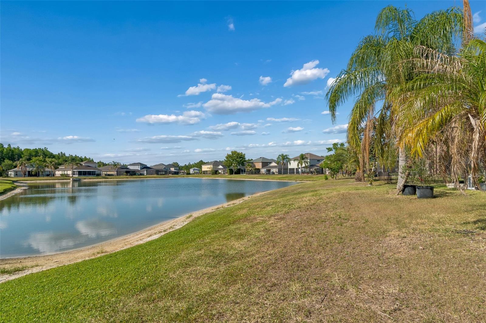 4022 WATERVILLE AVE, WESLEY CHAPEL, FL, 33543