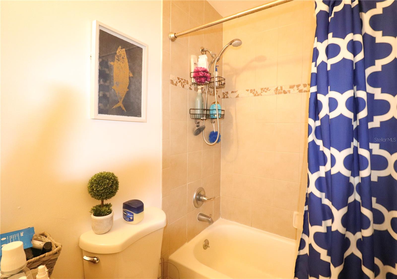 2300 SW 43RD ST #T-3 - Room C, GAINESVILLE, FL, 32607