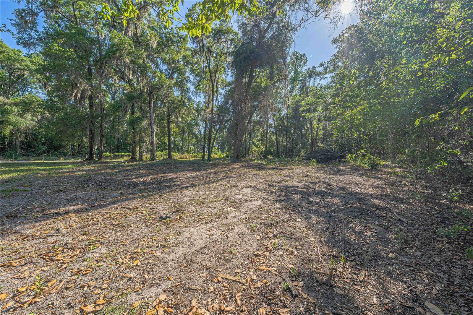 13755 SW 15TH PL, OCALA, FL, 34481