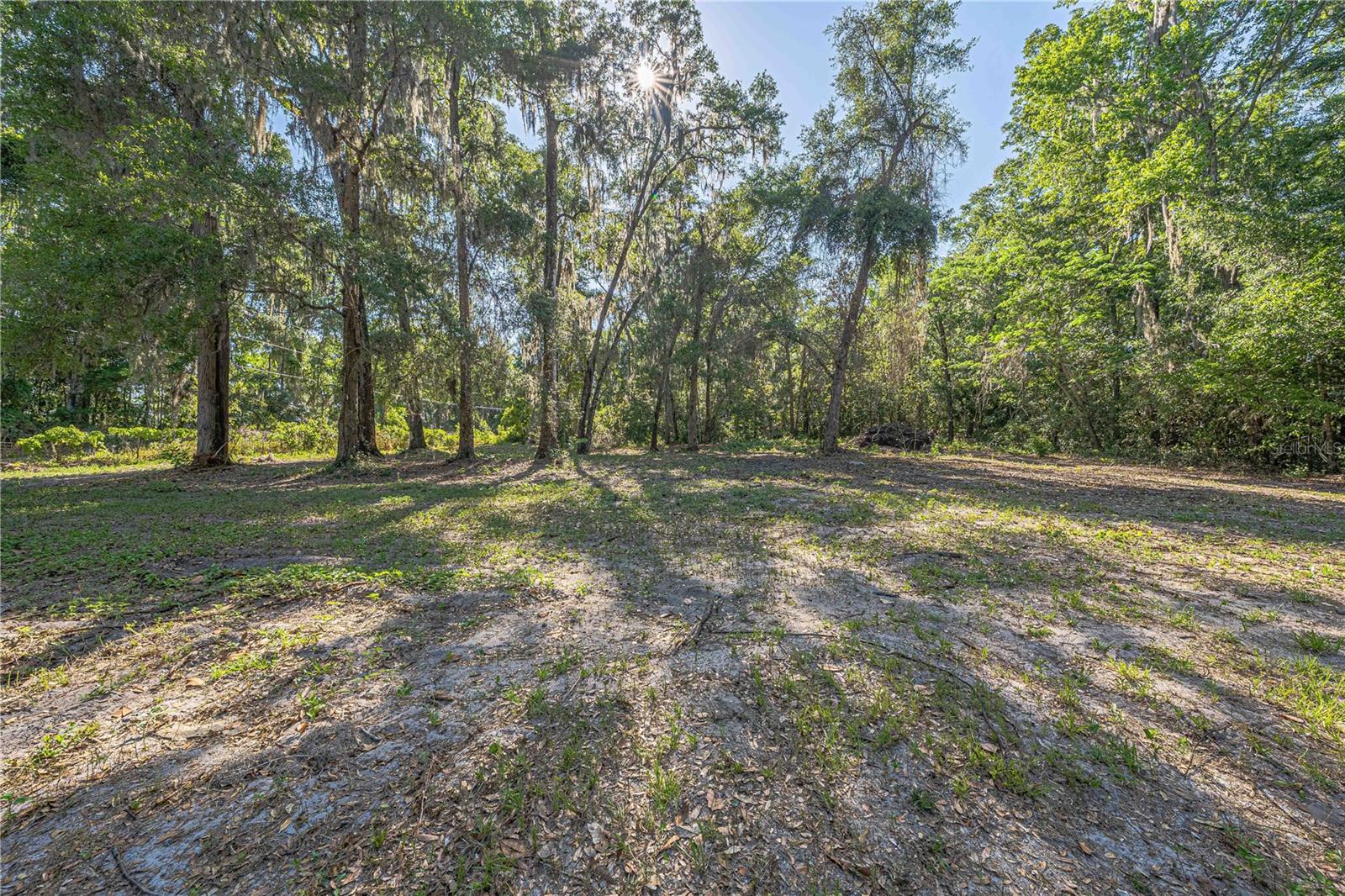 13755 SW 15TH PL, OCALA, FL, 34481