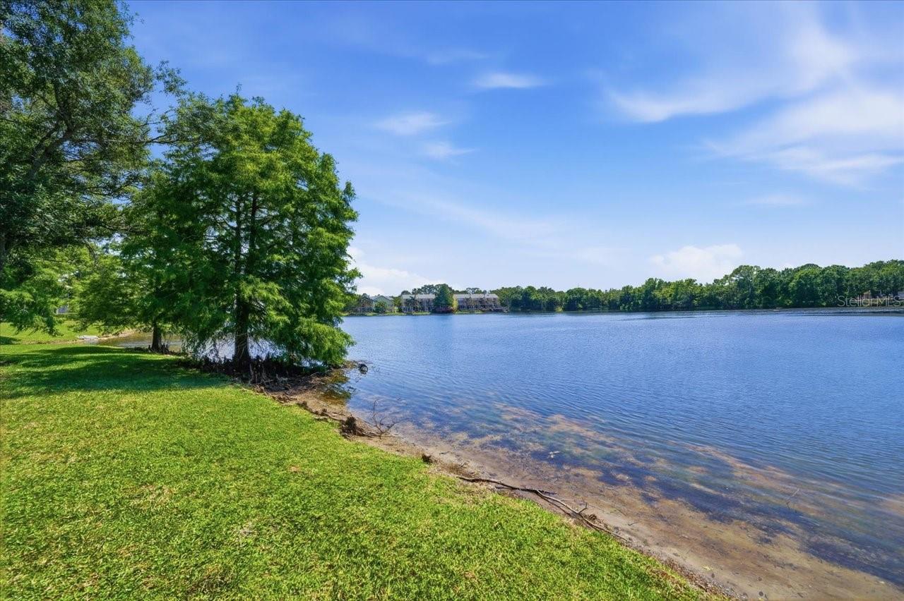 2824 COUNTRYSIDE BLVD #315, CLEARWATER, FL, 33761