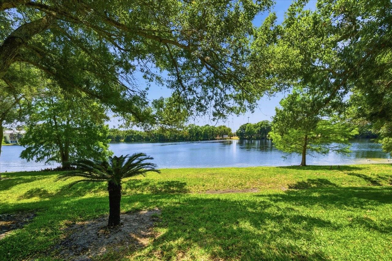 2824 COUNTRYSIDE BLVD #315, CLEARWATER, FL, 33761