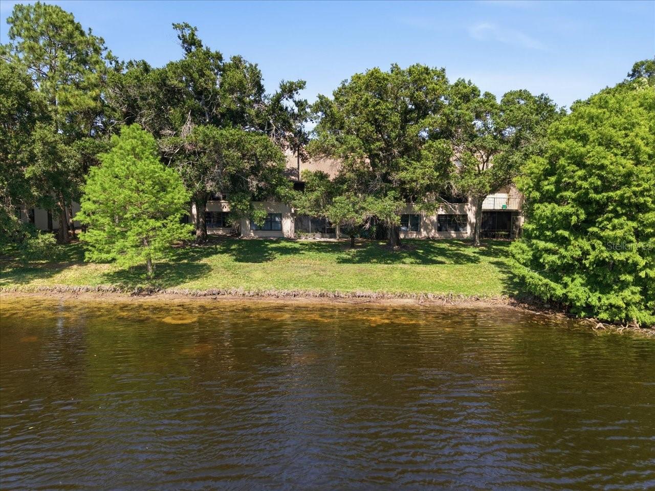 2824 COUNTRYSIDE BLVD #315, CLEARWATER, FL, 33761