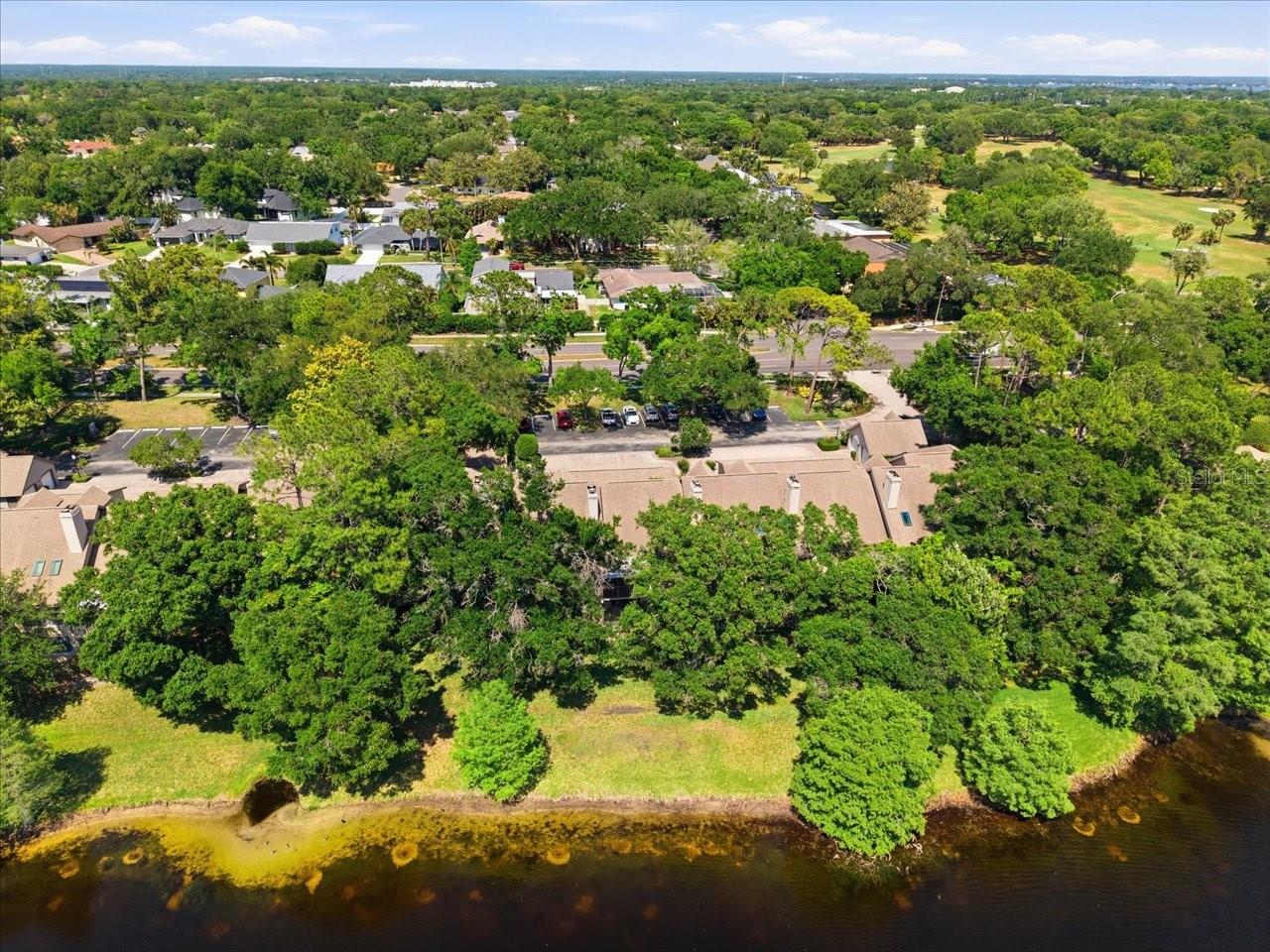 2824 COUNTRYSIDE BLVD #315, CLEARWATER, FL, 33761