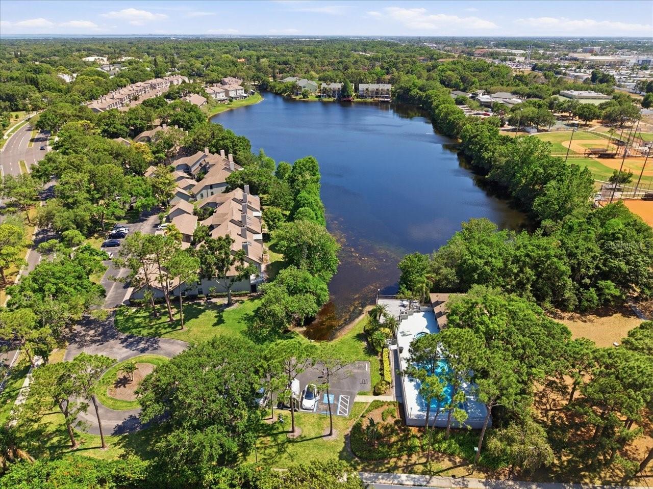 2824 COUNTRYSIDE BLVD #315, CLEARWATER, FL, 33761
