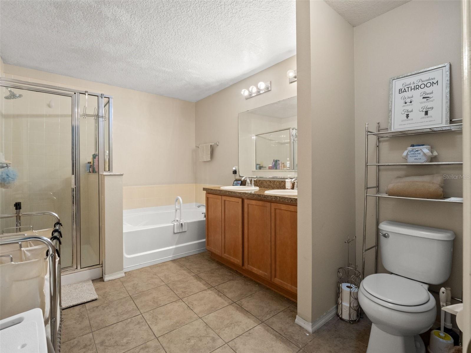 2987 BREEZY MEADOW RD, APOPKA, FL, 32712