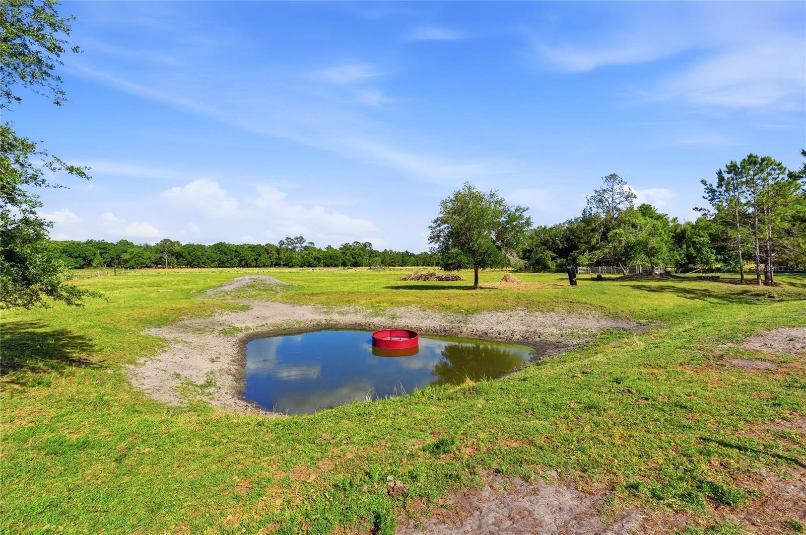 39000 SPARKMAN RD, DADE CITY, FL, 33525