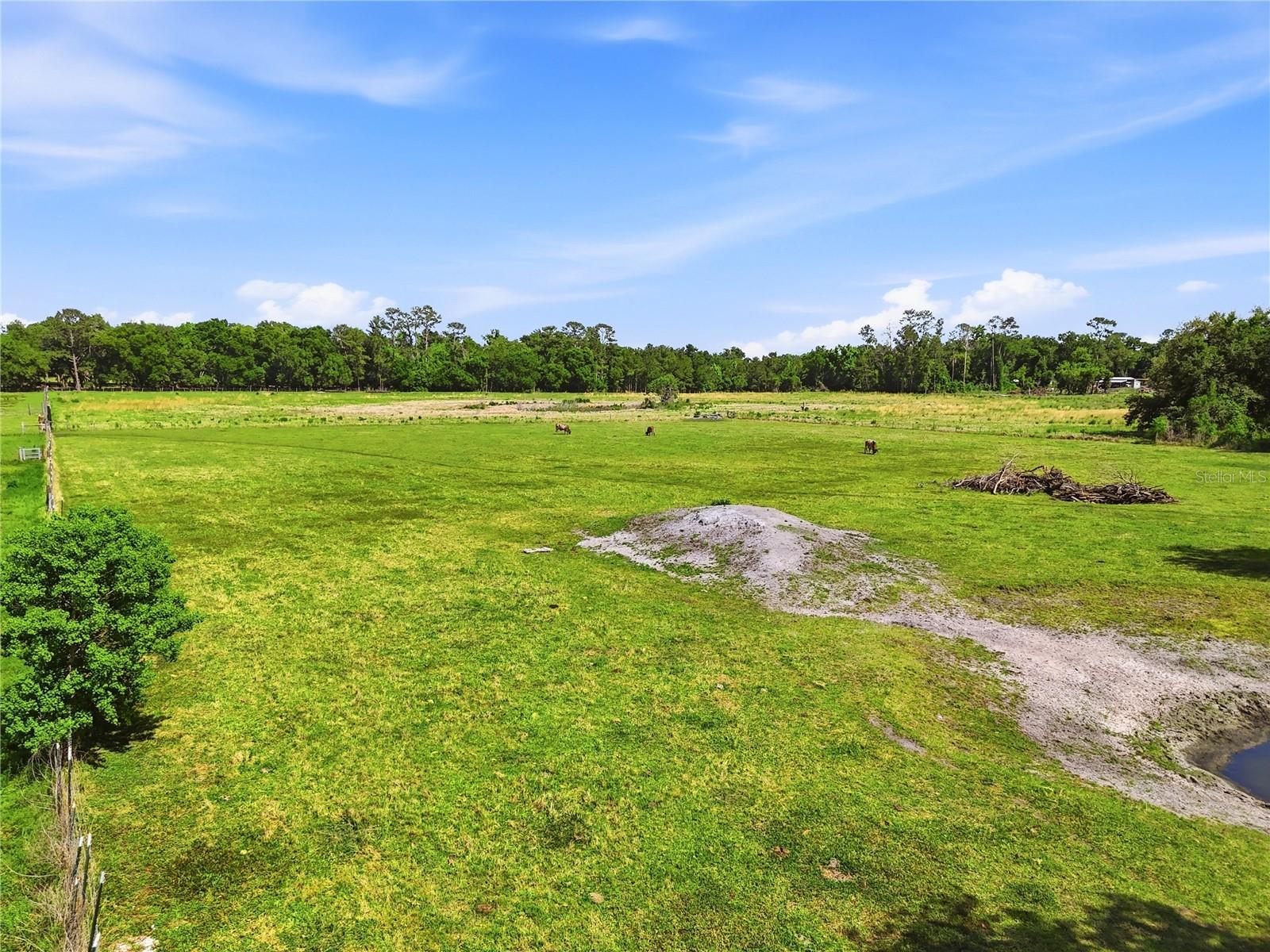 39000 SPARKMAN RD, DADE CITY, FL, 33525