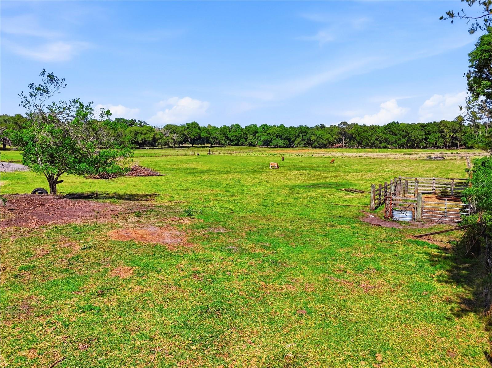 39000 SPARKMAN RD, DADE CITY, FL, 33525