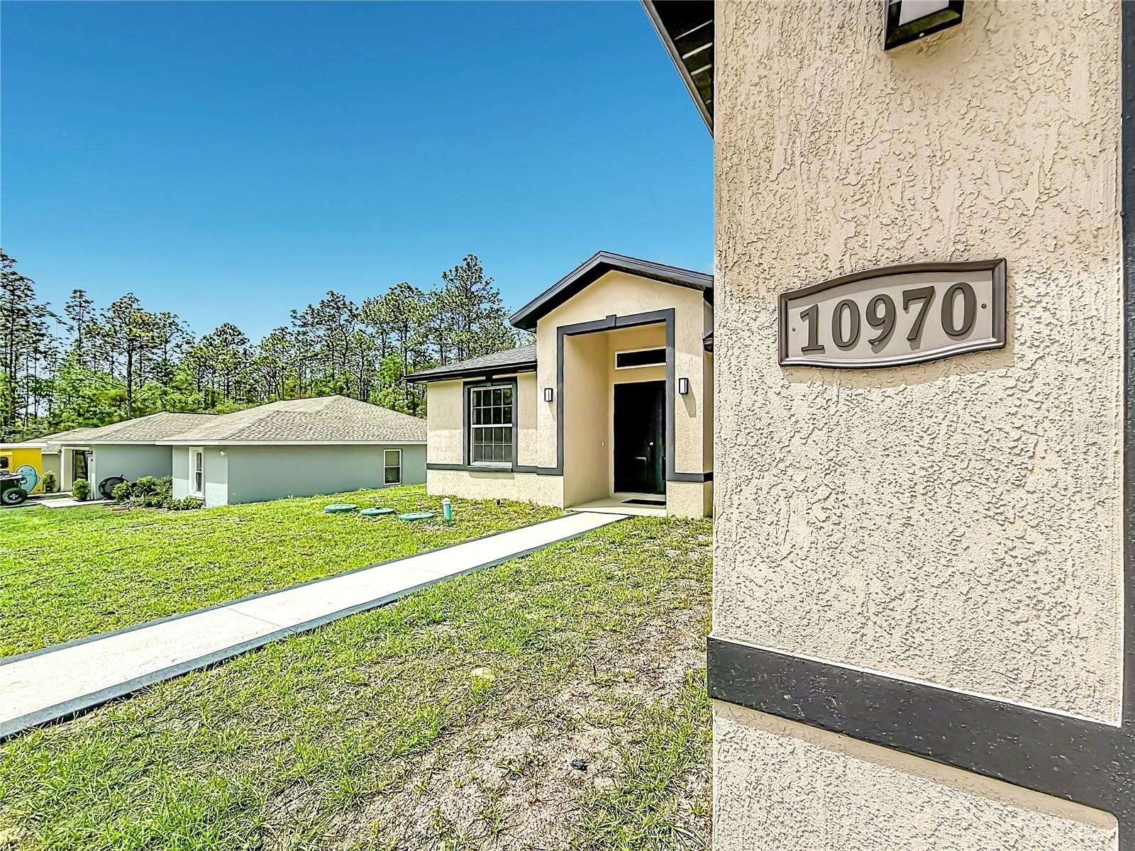 10970 N DRAGONIS DR, CITRUS SPRINGS, FL, 34433