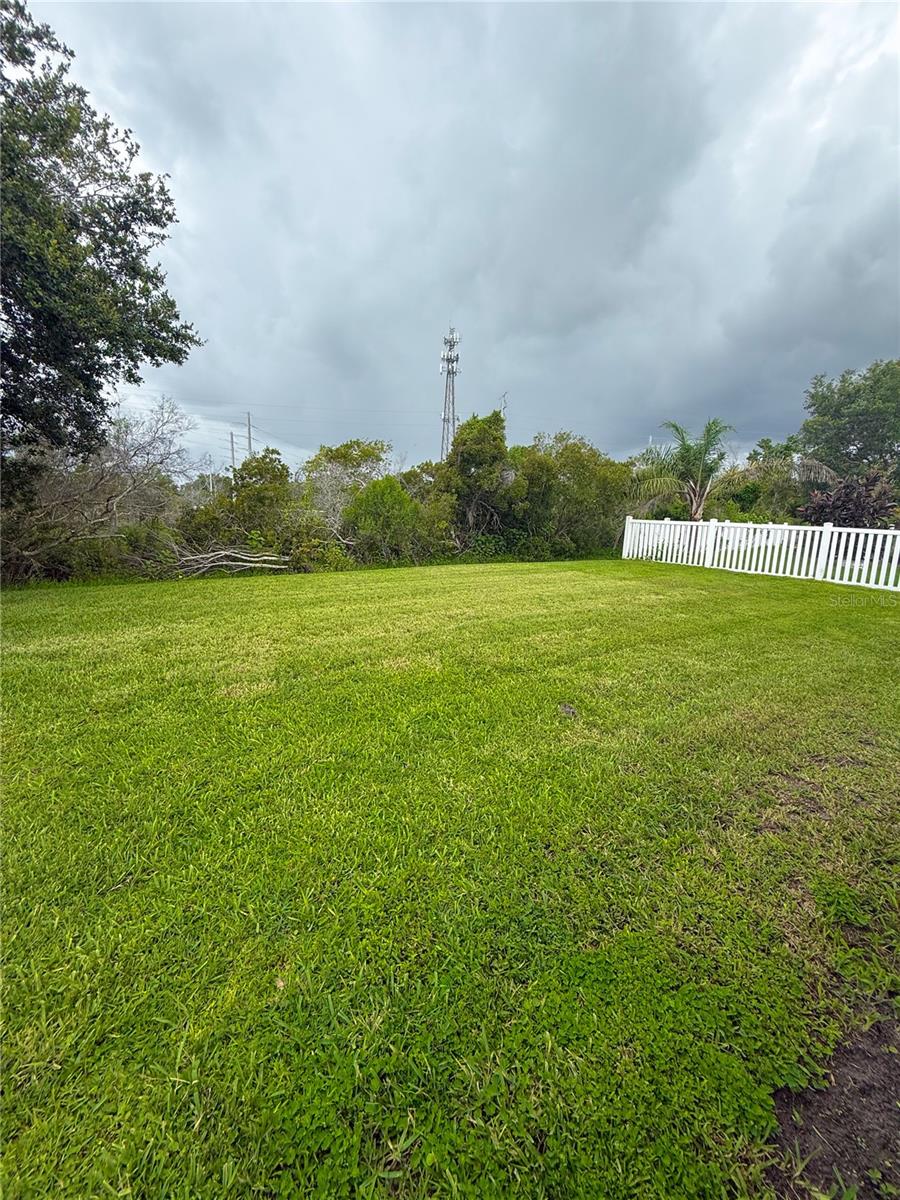 4017 LANGDRUM DR, WESLEY CHAPEL, FL, 33543
