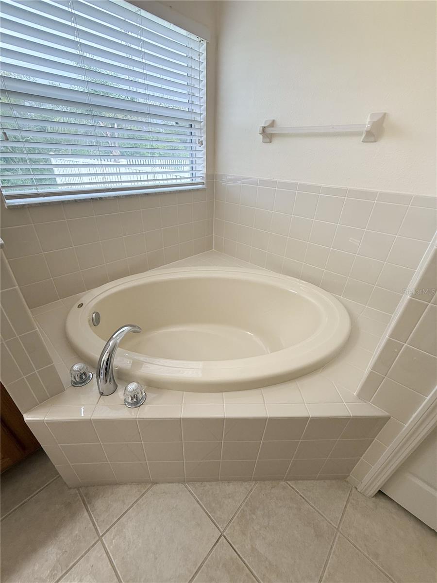 4017 LANGDRUM DR, WESLEY CHAPEL, FL, 33543