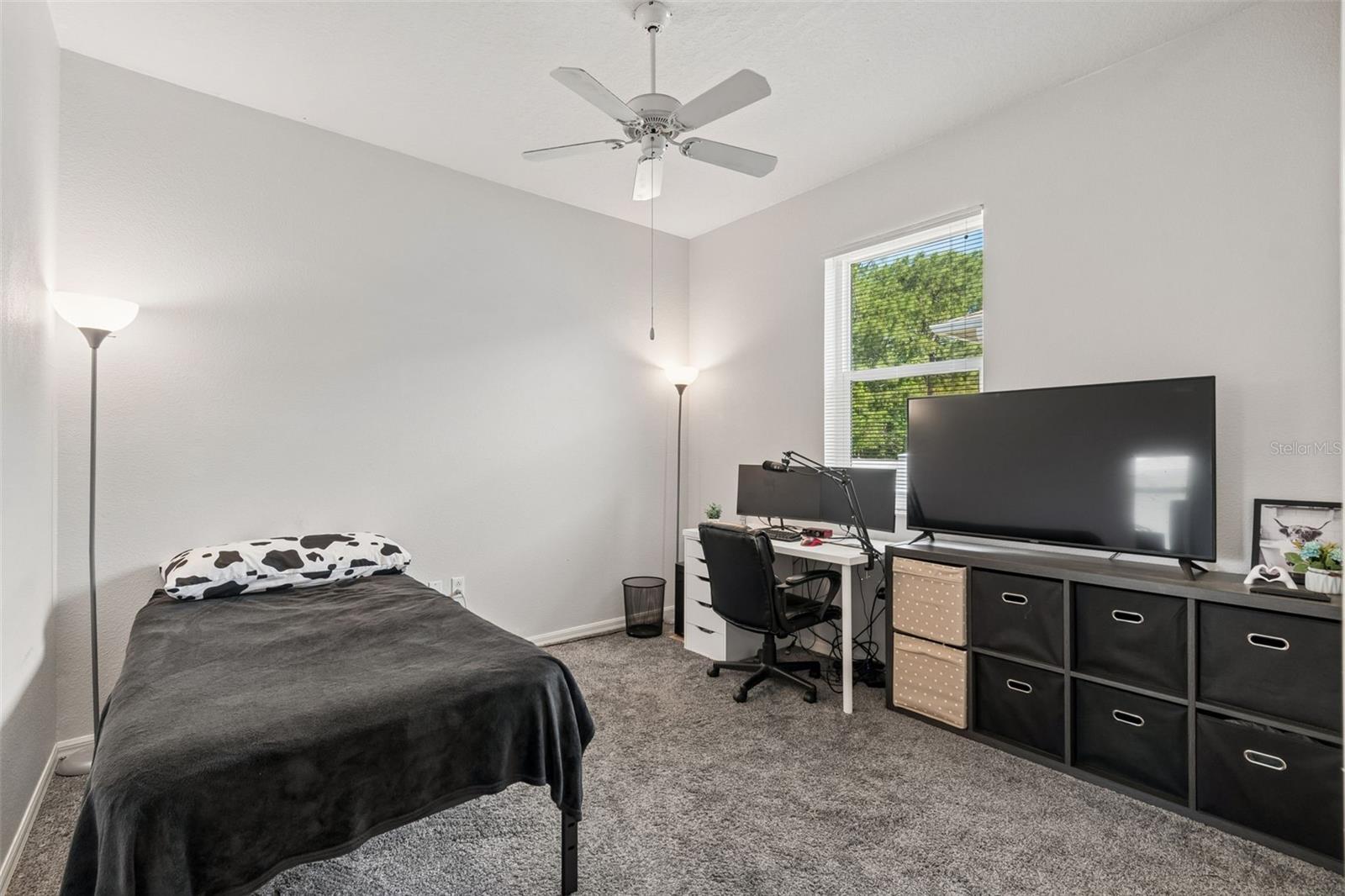 4203 ANACONDA DR, NEW PORT RICHEY, FL, 34655